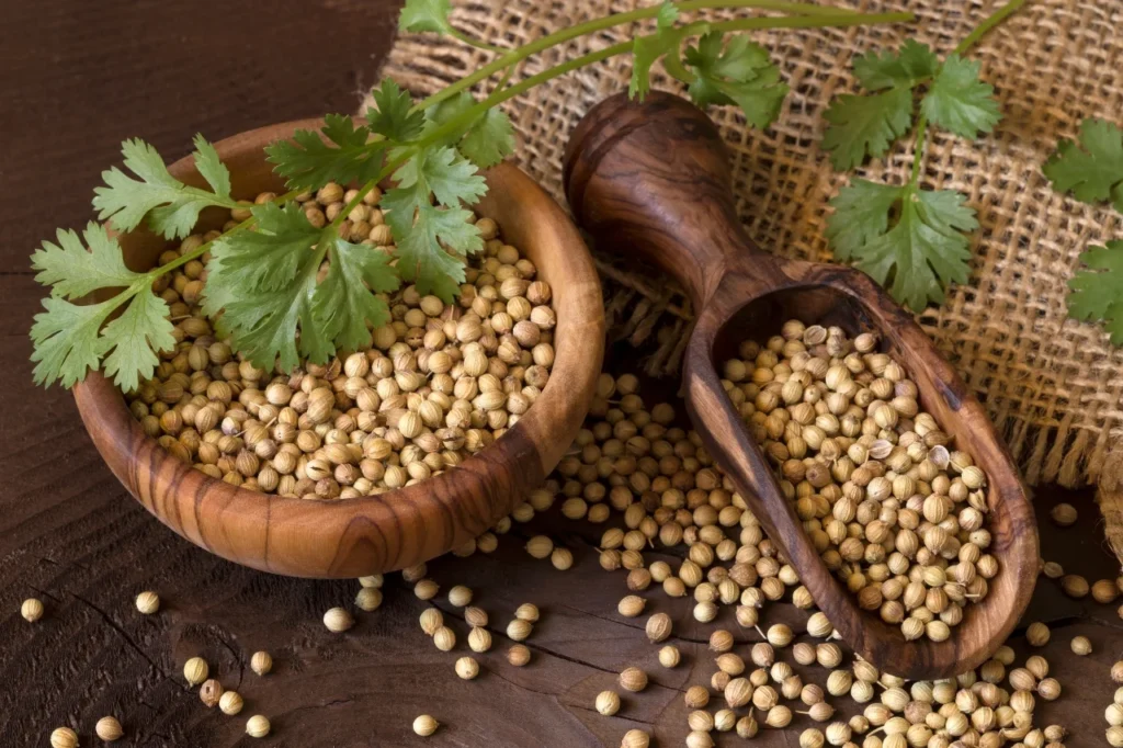 Coriander Seeds