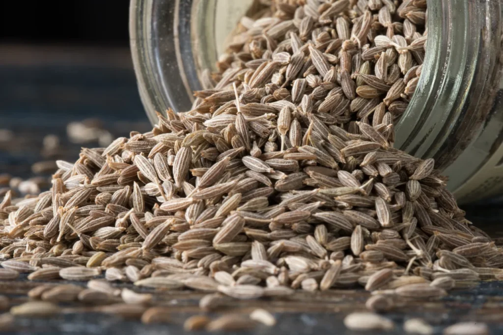 Cumin Seeds